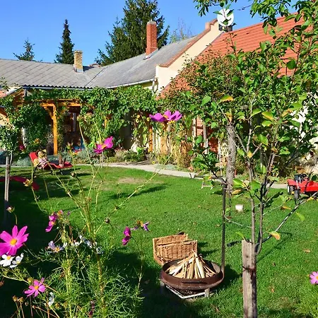 Nohab * Badacsonytördemic