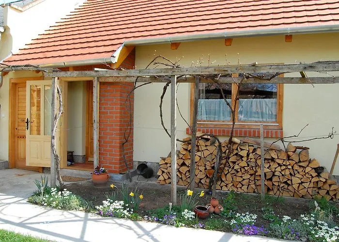 Nohab Badacsonytördemic