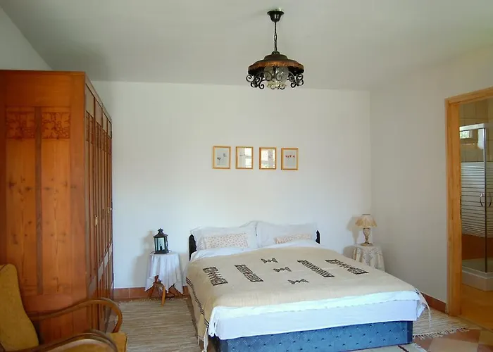 Nohab Badacsonytördemic